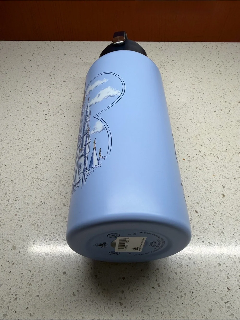 NEW 2026 DISNEY WORLD CINDERELLA CASTLE JUMBO 1 LITER WATER BOTTLE IN BLUE